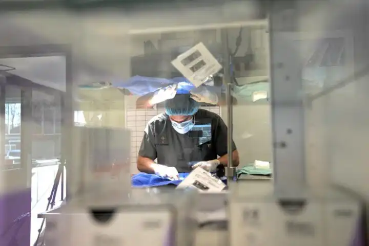 TCVC Vet Surgery