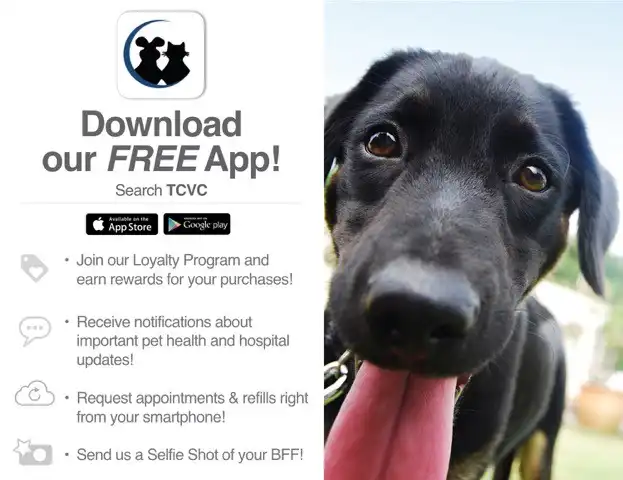 Download our free app