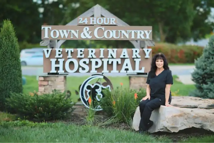 town and country veterinary hospital