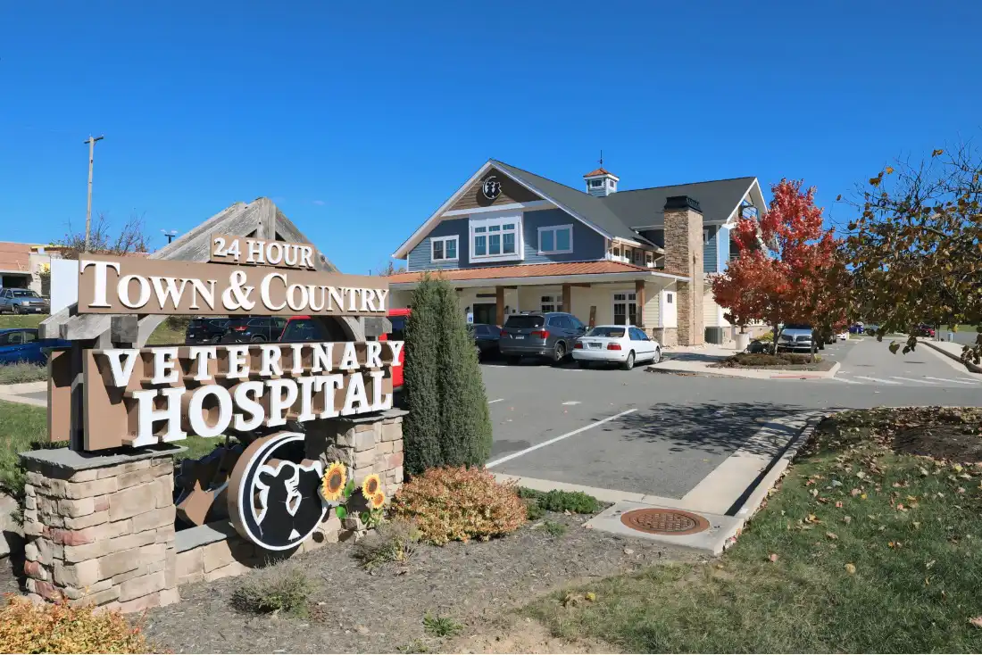 town & country veterinary hospital
